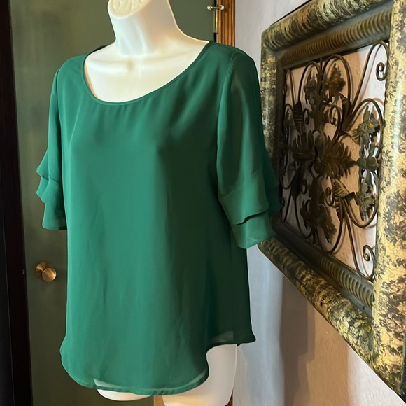 Cutest Ann Taylor  Green Semi Sheer Ruffle Sleeves Top Sz S - Picture 4 of 9